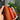 Carnelian Tower Intuitively Chosen