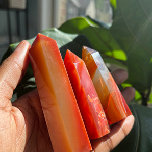 Carnelian – Lutoe - Everything Aki